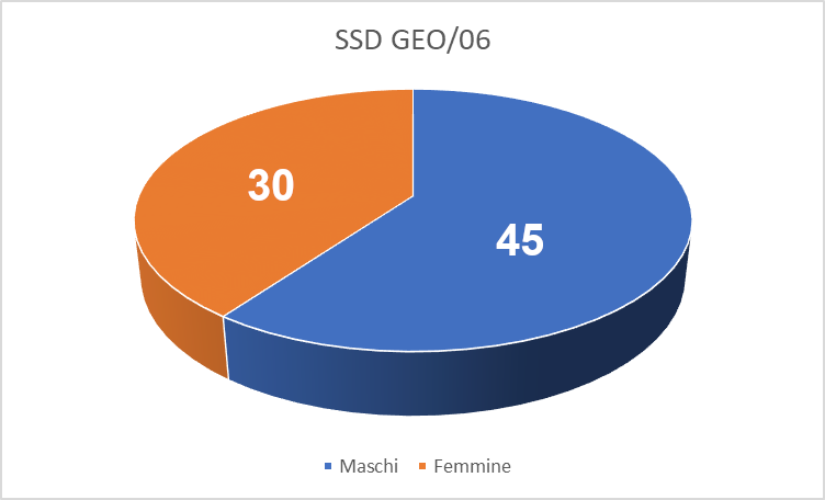 Torta GEO06