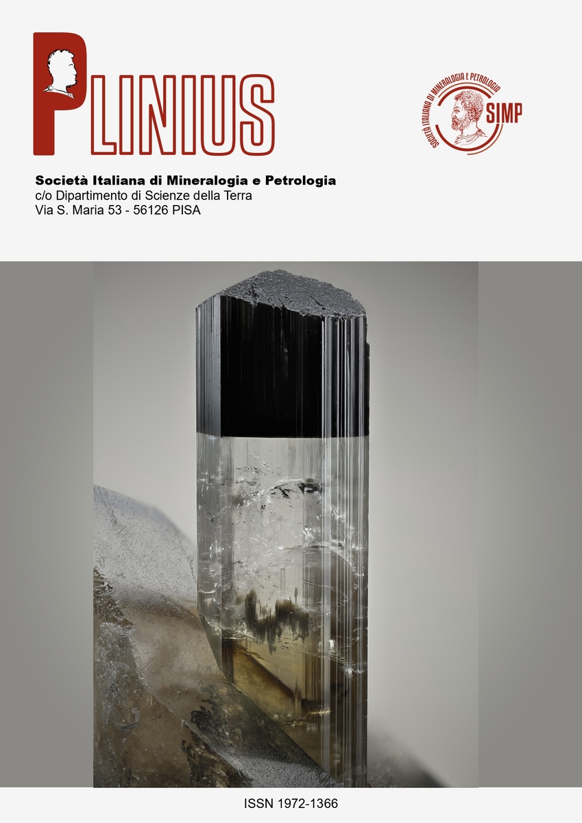 PLINIUS 51 2025 ONLINE 1 page 0001 (1)