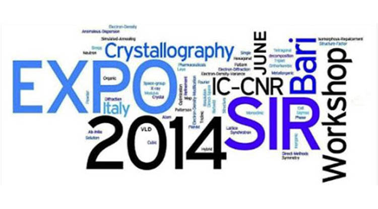 International EXPO/SIR workshop - Crystal structure solution (powders and single crystal): theory and practice