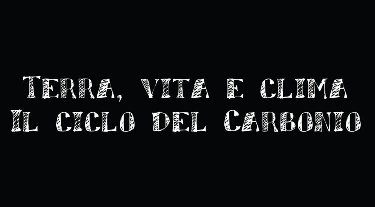 1Â° Workshop nazionale "Terra, vita e clima: il ciclo del carbonio"